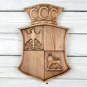 300. polská bombardovací peruť RAF - Jasan - mořidlo tabák - matný - 30cm